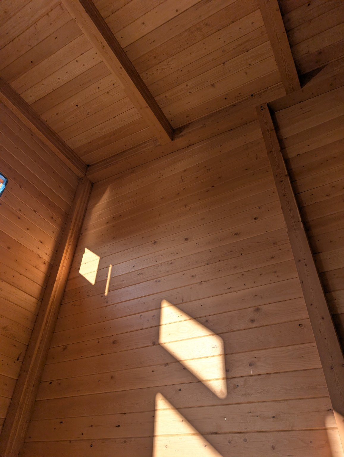 Timber wall and roof detailing with sunlight across the interior cladding.